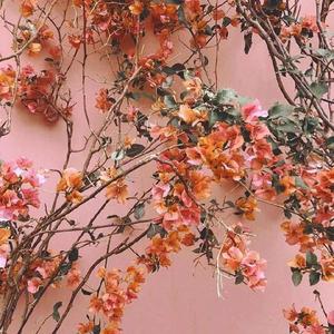 挺进肉丝熟妇老师的身体视频
